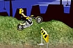 Thumbnail of Moto Rallye Game